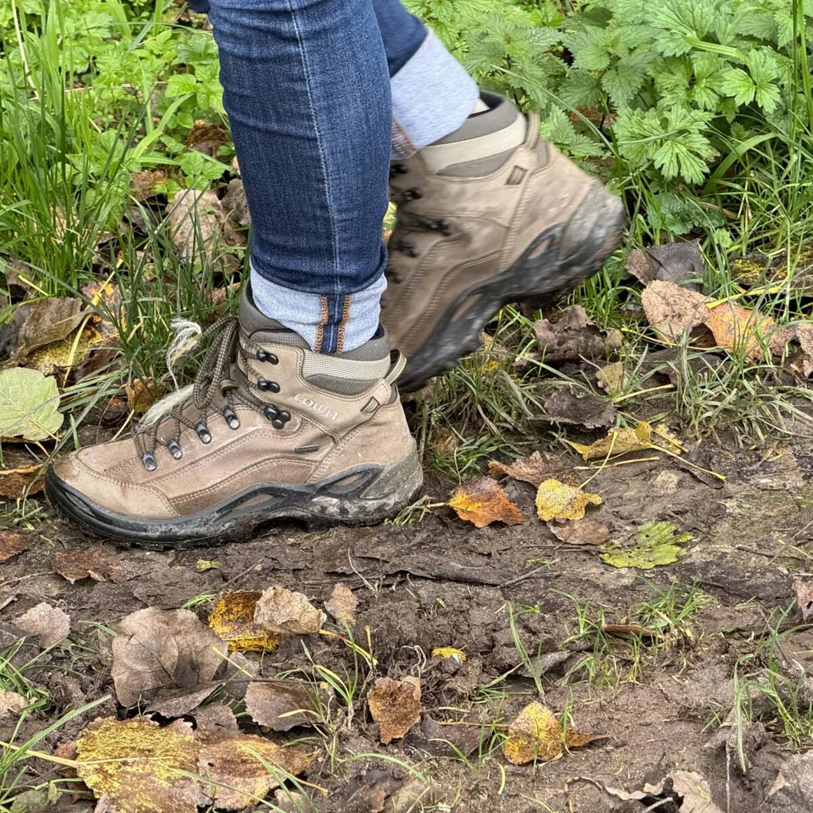Zwei Wanderschuhe im Schritt auf feuchtem Waldboden zwischen Herbstlaub und frischem Grün.