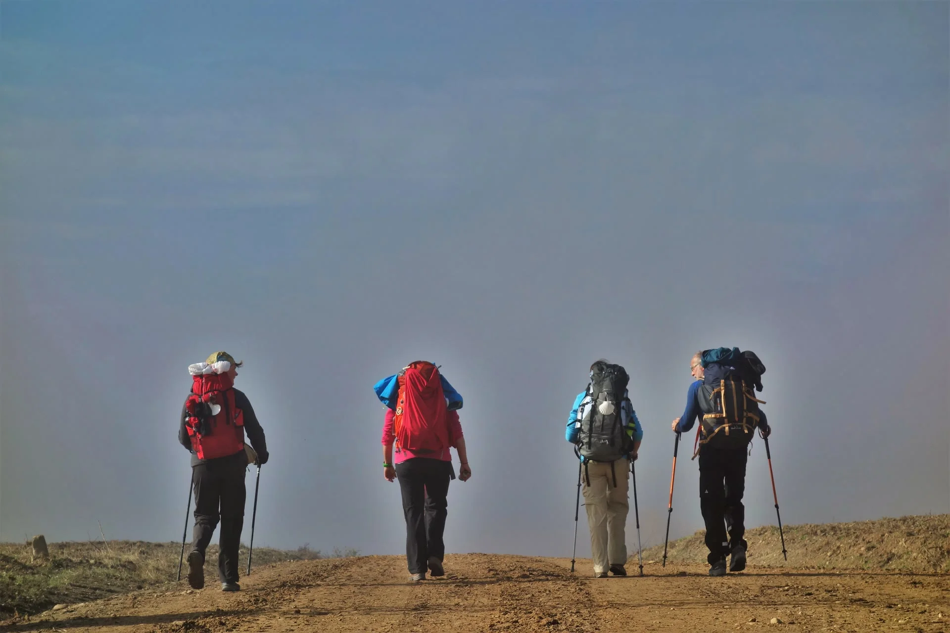 Vier Personen mit Rucksäcken und Wanderstöcken gehen, von hinten gesehen, einen Feldweg entlang. Darüber blauer Himmel.