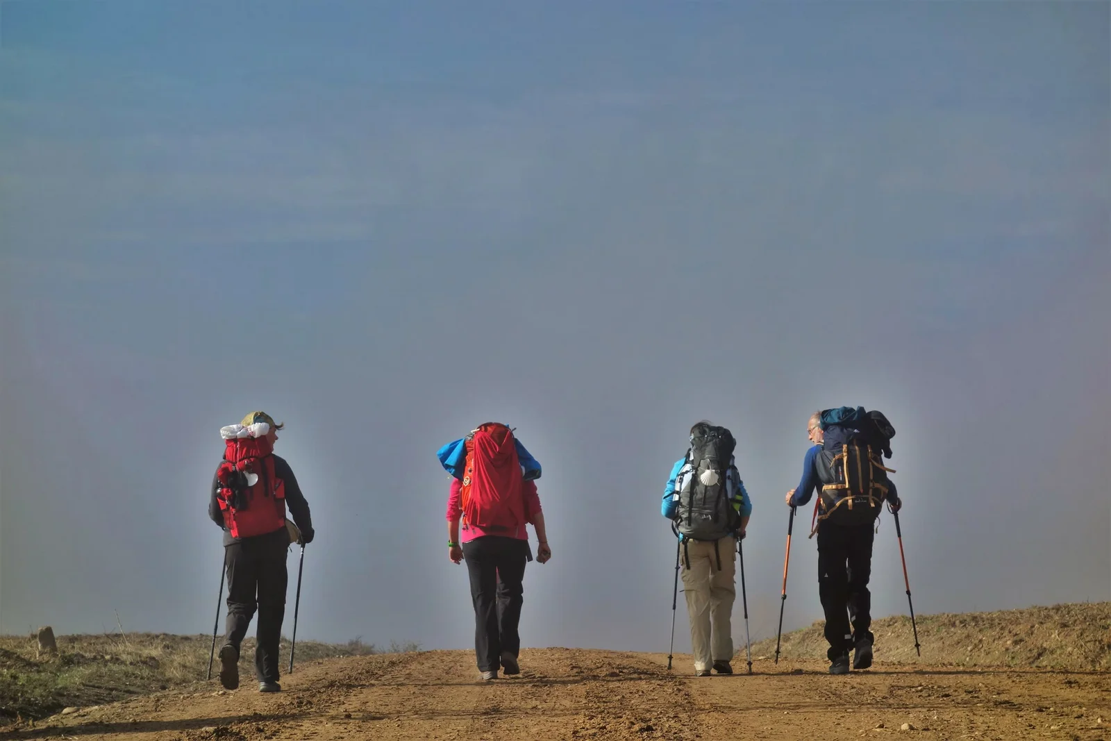 Vier Personen mit Rucksäcken und Wanderstöcken gehen, von hinten gesehen, einen Feldweg entlang. Darüber blauer Himmel.