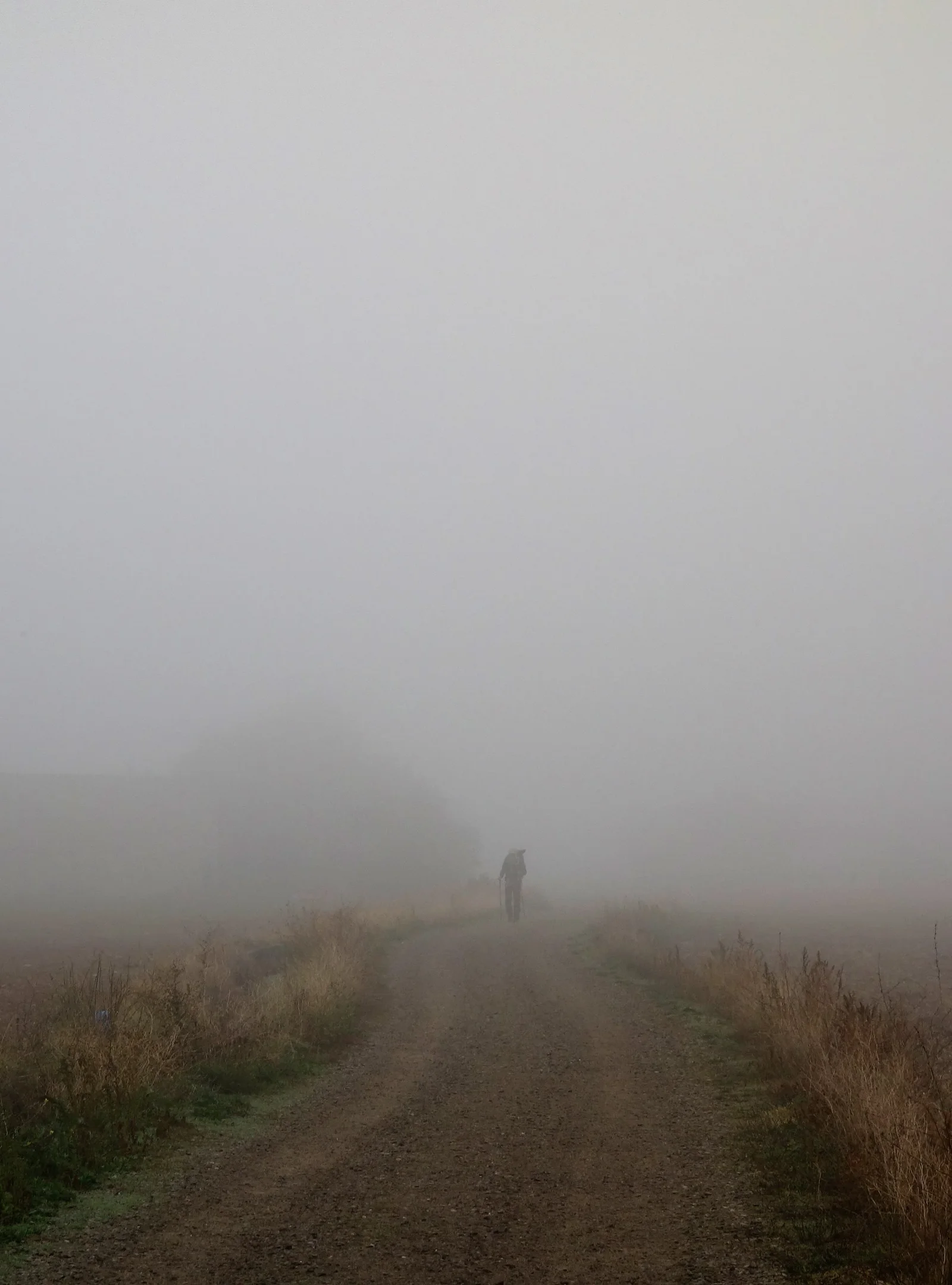 Einzelne pilgernde Person auf einem Feldweg im Morgennebel